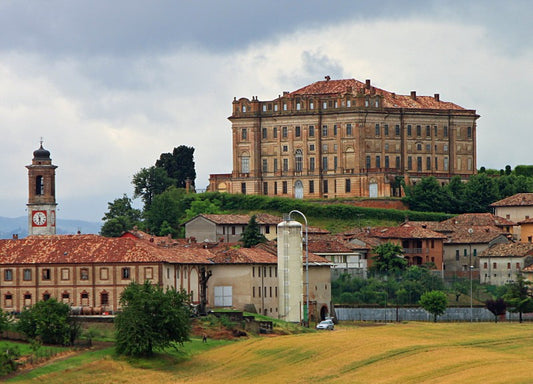 RoeroHops - craft vibes sulle colline del gusto